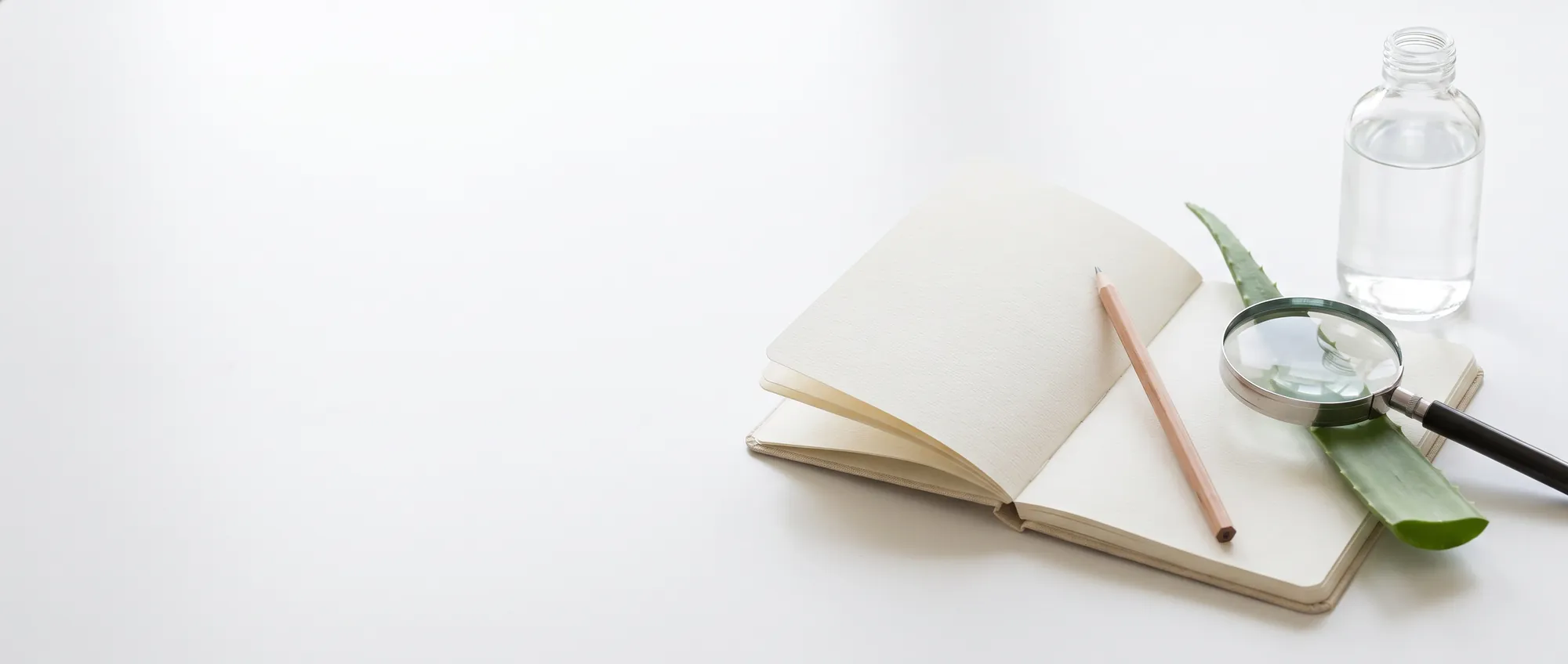 Una scrivania bianca con un quaderno aperto, una matita e una lente d'ingrandimento appoggiata su una foglia di aloe